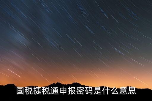 國稅申報登陸密碼是什么意思，國稅第一次網上申報的登陸密碼是什么