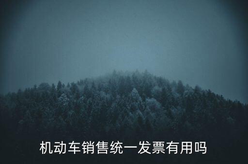 機動車銷售統一發票有用嗎