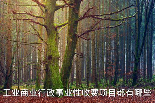 工業商業行政事業性收費項目都有哪些