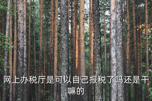 什么是網上辦稅服務廳，電子申報管理系統和網上辦稅大廳有什么不同的