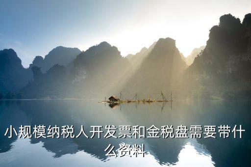 小規模納稅人開發票和金稅盤需要帶什么資料