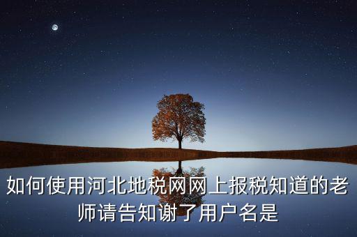 河北省地稅用戶名是什么，地稅網上申報如何操作