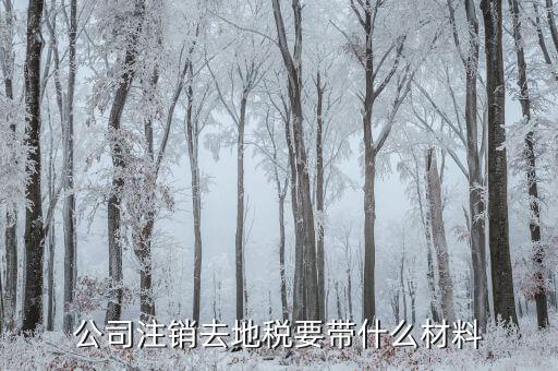 地稅注銷需要什么，注銷公司地稅局需要的資料