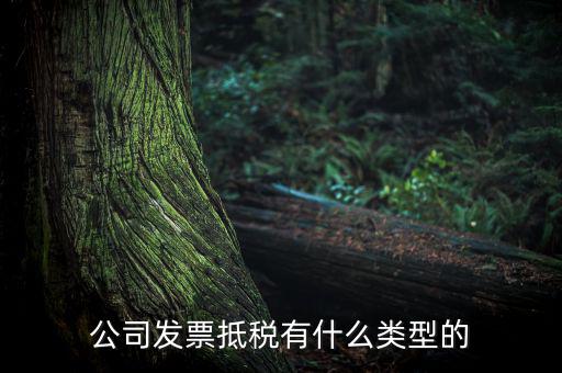 公司發票抵稅有什么類型的