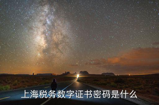 上海稅務數字證書密碼是什么