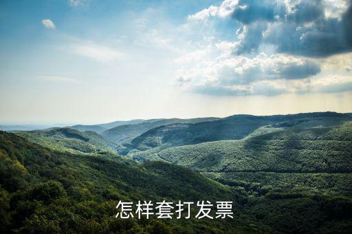 什么是套打發票，怎樣套打發票
