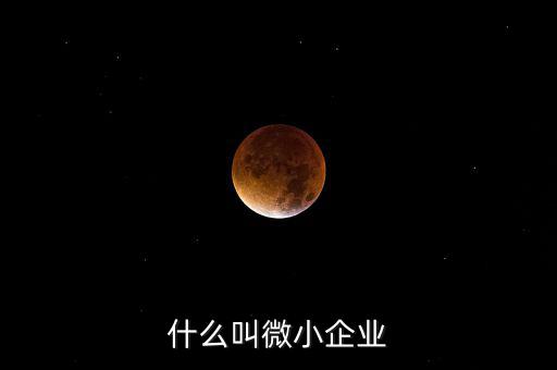 什么叫微小企業