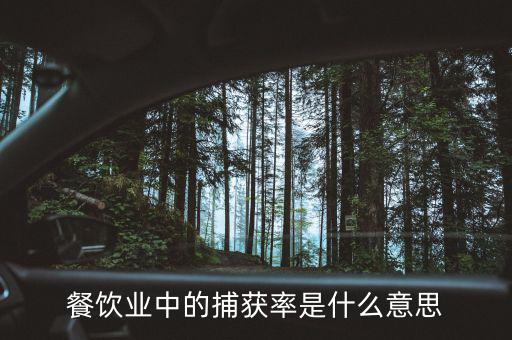 餐飲業中的捕獲率是什么意思