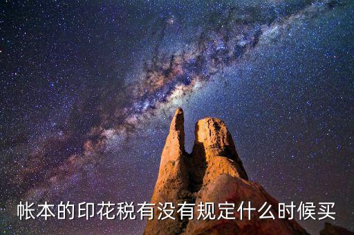 帳本的印花稅有沒有規定什么時候買