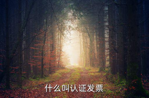 什么叫認證發(fā)票，什么叫認證增值稅發(fā)票如何認證好像還有手工認證是怎么回事啊