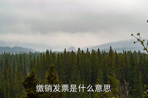 繳銷外經證局軌是什么意思，在地稅局外管證已經繳銷了還能開票嗎
