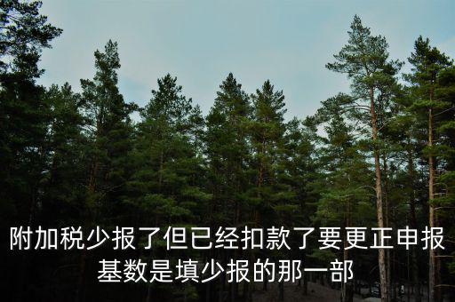附加稅少報了但已經扣款了要更正申報基數是填少報的那一部