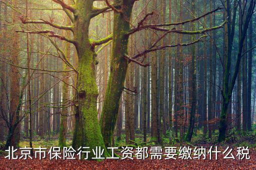 北京市保險行業工資都需要繳納什么稅