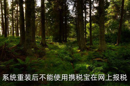 系統重裝后不能使用攜稅寶在網上報稅
