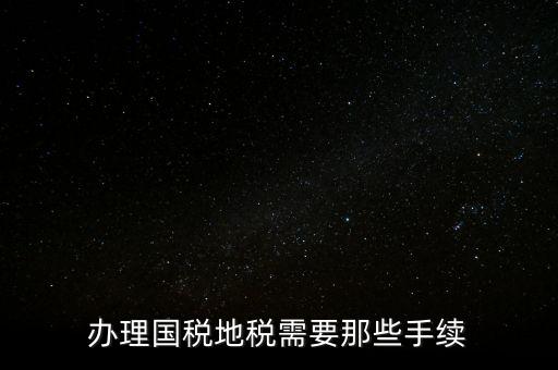 辦理國稅地稅需要那些手續