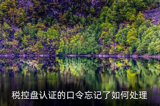稅控盤口令認(rèn)證失敗什么情況，稅控盤認(rèn)證的口令忘記了如何處理