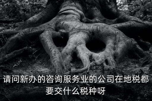 請(qǐng)問新辦的咨詢服務(wù)業(yè)的公司在地稅都要交什么稅種呀
