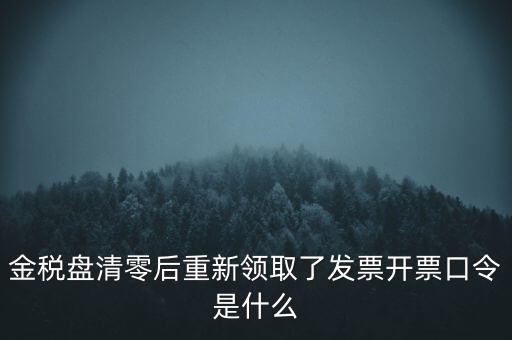 金稅盤口令是什么，金稅盤密碼口令忘記已試個6次還能試嗎