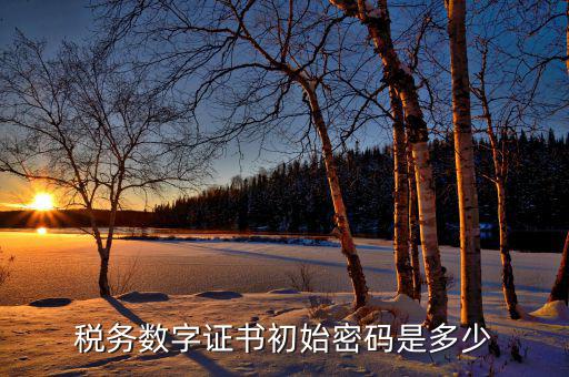金稅盤ca密碼是什么，稅務密鑰是什么東西是數字證書嗎