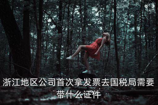 浙江地區公司首次拿發票去國稅局需要帶什么證件