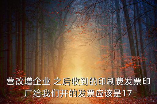 營改增企業 之后收到的印刷費發票印廠給我們開的發票應該是17