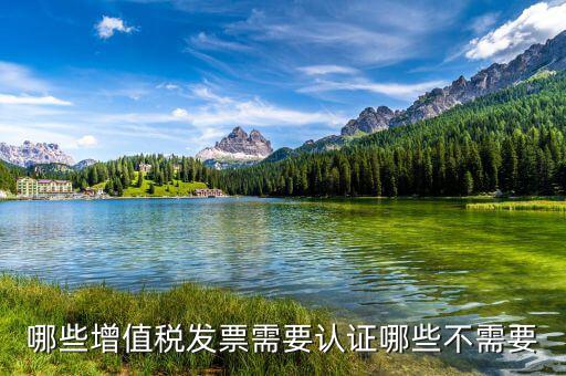 哪些增值稅發票需要認證哪些不需要