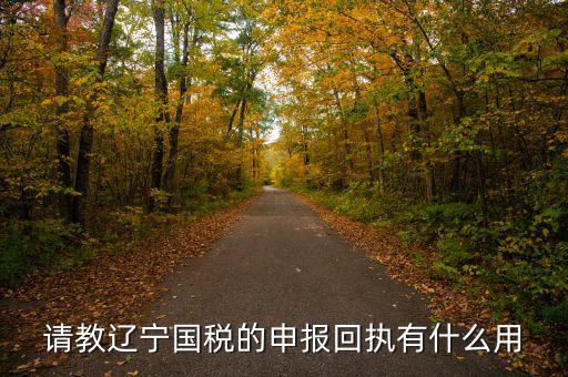 申報回執有什么用，申訴以后的回執編有什么用