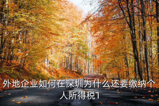 外地企業如何在深圳為什么還要繳納個人所得稅1