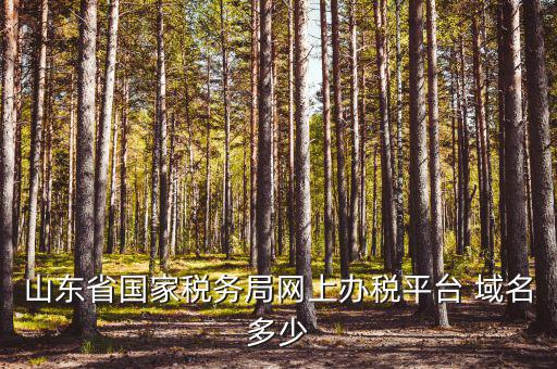 山東省國家稅務局網上辦稅平臺 域名多少