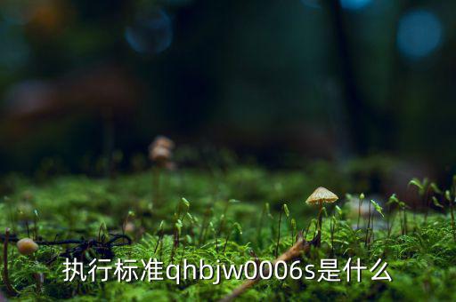 執行標準qhbjw0006s是什么