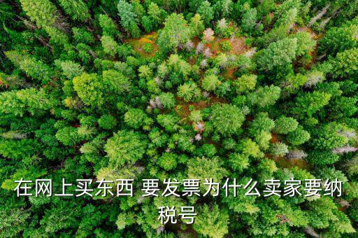 在網上買東西 要發票為什么賣家要納稅號