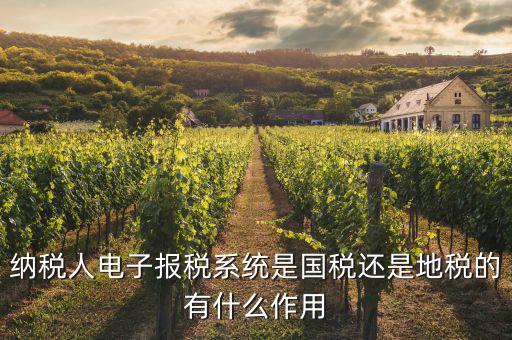 納稅人電子報稅系統是國稅還是地稅的有什么作用