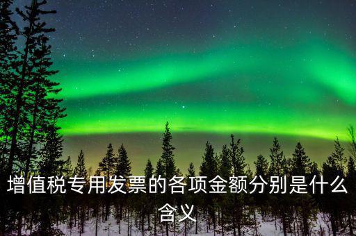 增值稅專用發票的各項金額分別是什么含義