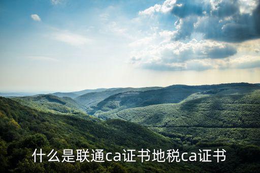 什么是聯通ca證書地稅ca證書
