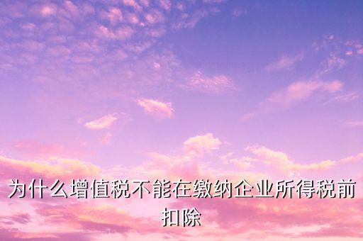 為什么增值稅不能在繳納企業所得稅前扣除