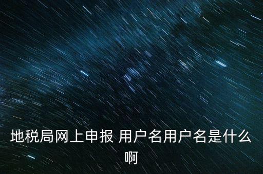 地稅局網上申報 用戶名用戶名是什么啊
