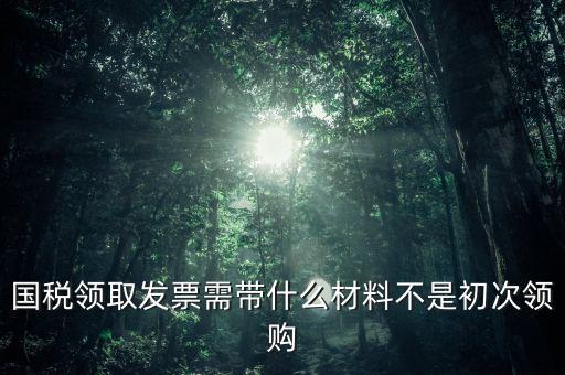 國稅領取發票需帶什么材料不是初次領購