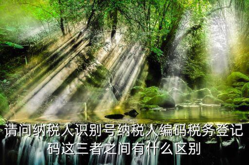 請問納稅人識別號納稅人編碼稅務登記碼這三者之間有什么區別