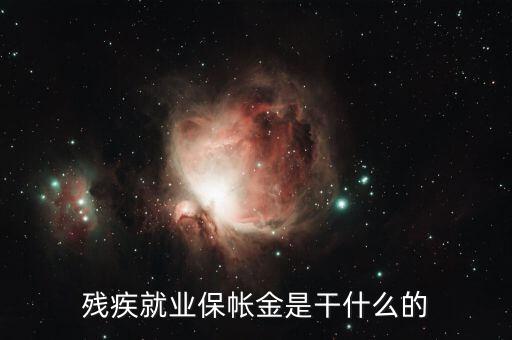 殘疾就業保帳金是干什么的