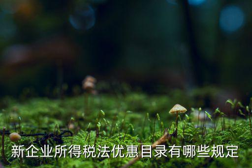 新企業所得稅法優惠目錄有哪些規定