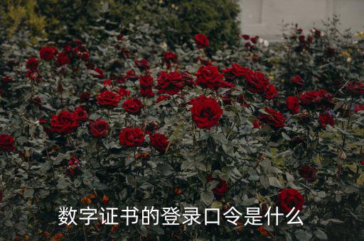 數字證書的登錄口令是什么