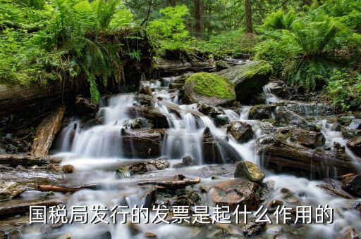 國家稅務局發(fā)票有什么用，發(fā)票有哪些作用呢
