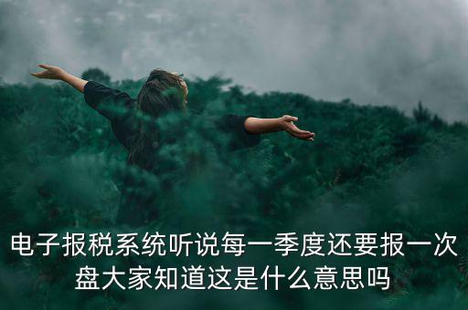 電子報稅系統聽說每一季度還要報一次盤大家知道這是什么意思嗎