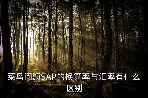 菜鳥問題SAP的換算率與匯率有什么區別