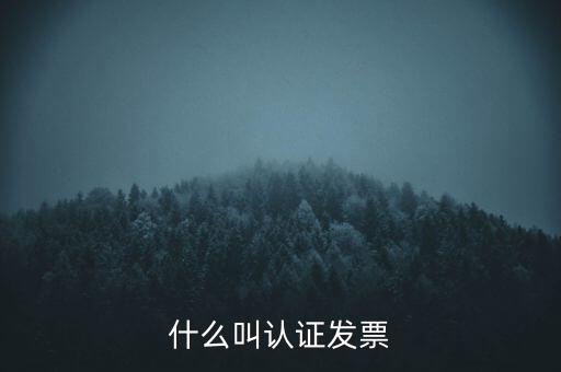 什么是認證發票，什么叫認證發票
