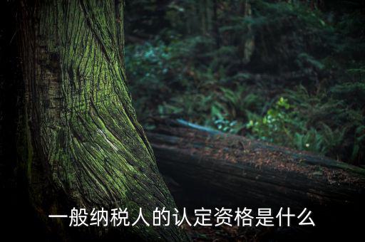 一般納稅人資格證是什么，請問一般納稅人應有什么證
