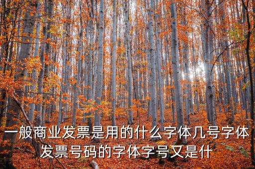 一般商業發票是用的什么字體幾號字體發票號碼的字體字號又是什