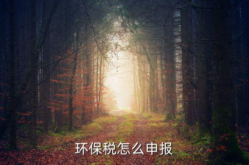 環境保護稅按什么申報，環保稅怎么申報