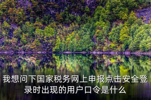 我想問下國家稅務網上申報點擊安全登錄時出現的用戶口令是什么