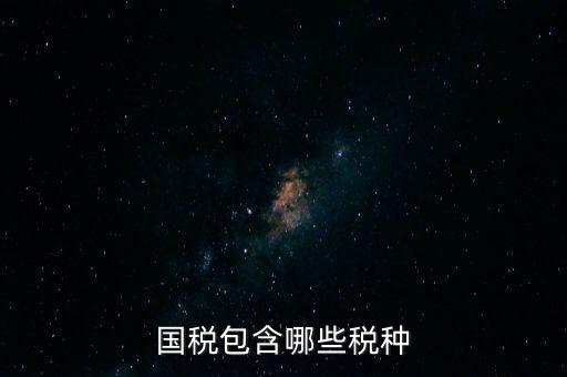 國稅發票有什么項目，國稅通用手工發票可以開什么項目經營范圍是道路普通貨物運輸